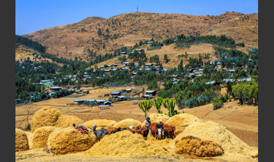 ETHIOPIA_SCreport_25Feb2014