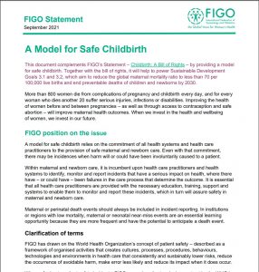 First page of the "Model for Safe Childbirth" article
