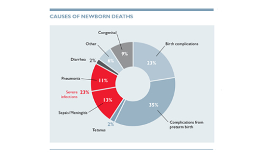 Newborn Deaths graphic a