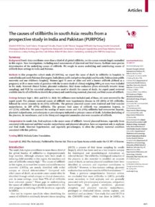 The causes of stillbirths in south Asia: results from a prospective study in India and Pakistan (PURPOSe)